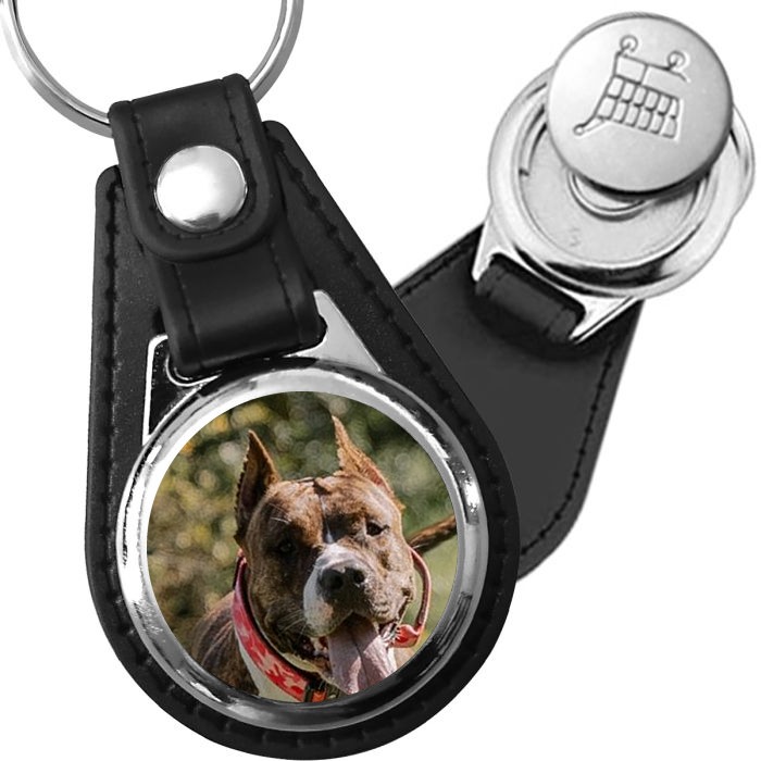 Porte-clé cuir avec médaillon chien American Staffordshire