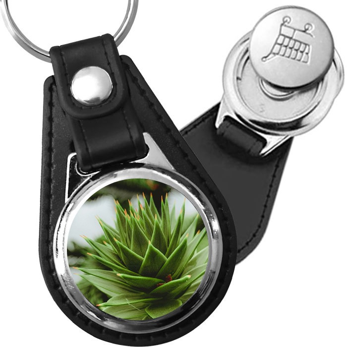 Porte-clé cuir avec médaillon arbre Araucaria