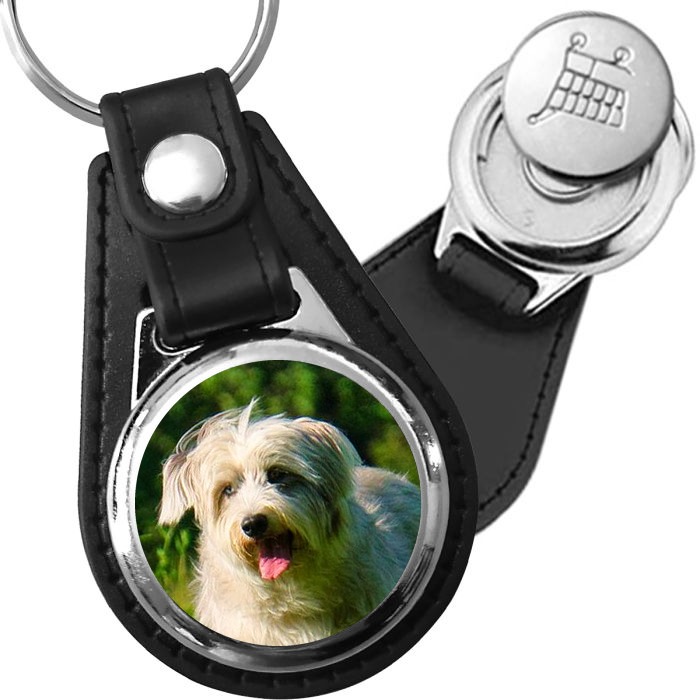 Porte-clé cuir avec médaillon chien Berger des Pyrénées