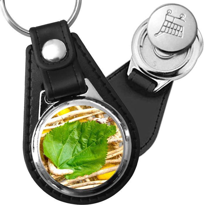 Porte-clé cuir avec médaillon insecte Bombyx