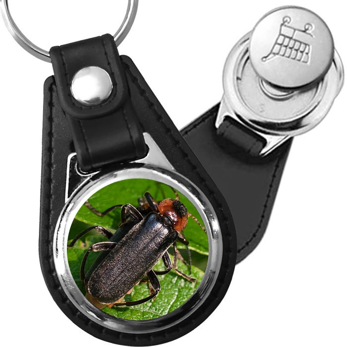 Porte-clé cuir avec médaillon insecte Cantharide