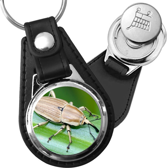 Porte-clé cuir avec médaillon insecte Charançon