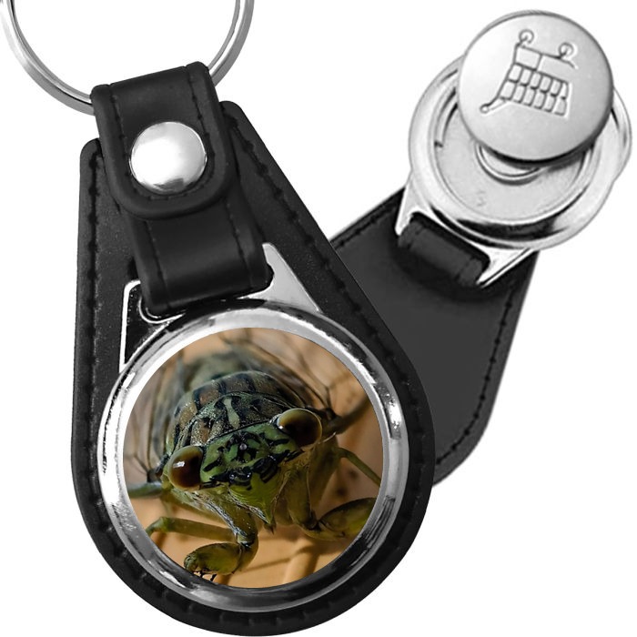 Porte-clé cuir avec médaillon insecte Cigale