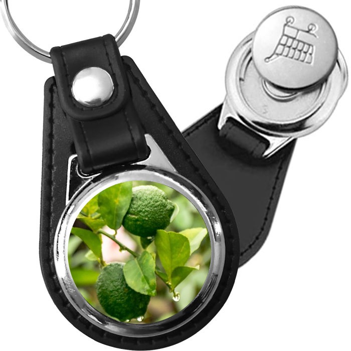 Porte-clé cuir avec médaillon fruit Citron Vert