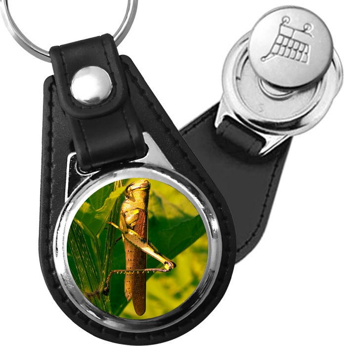 Porte-clé cuir avec médaillon insecte Criquet