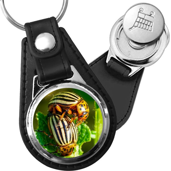 Porte-clé cuir avec médaillon insecte Doryphore