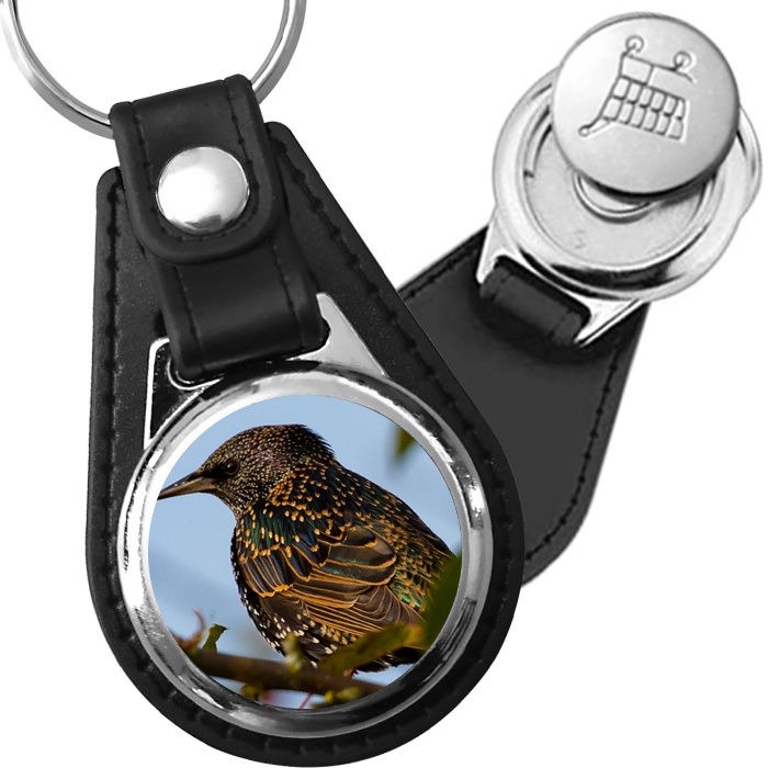 Porte-clé cuir avec médaillon oiseau Étourneau