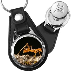 Porte-clé cuir avec médaillon insecte Fourmi