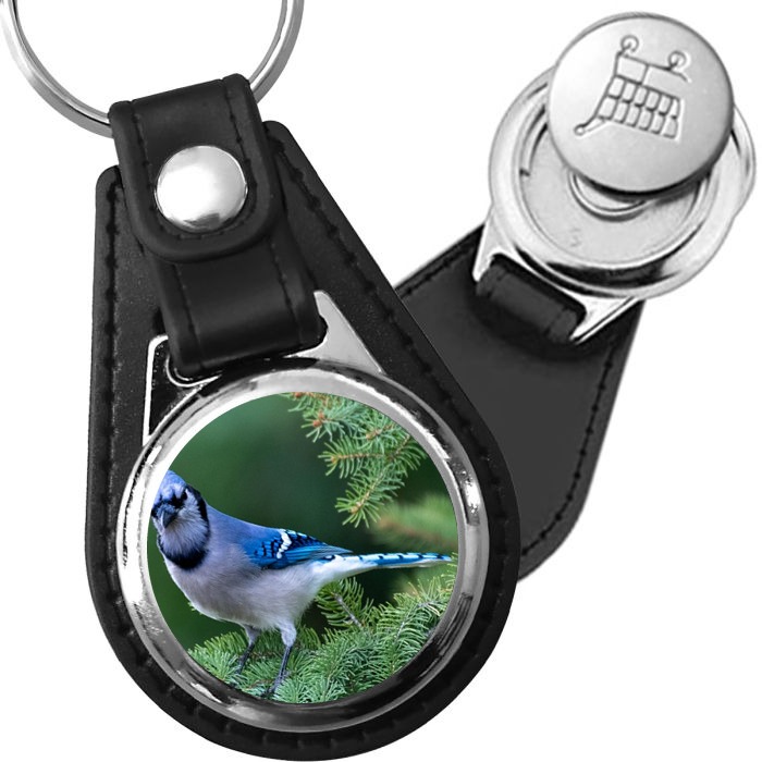 Porte-clé cuir avec médaillon oiseau Geai Bleu