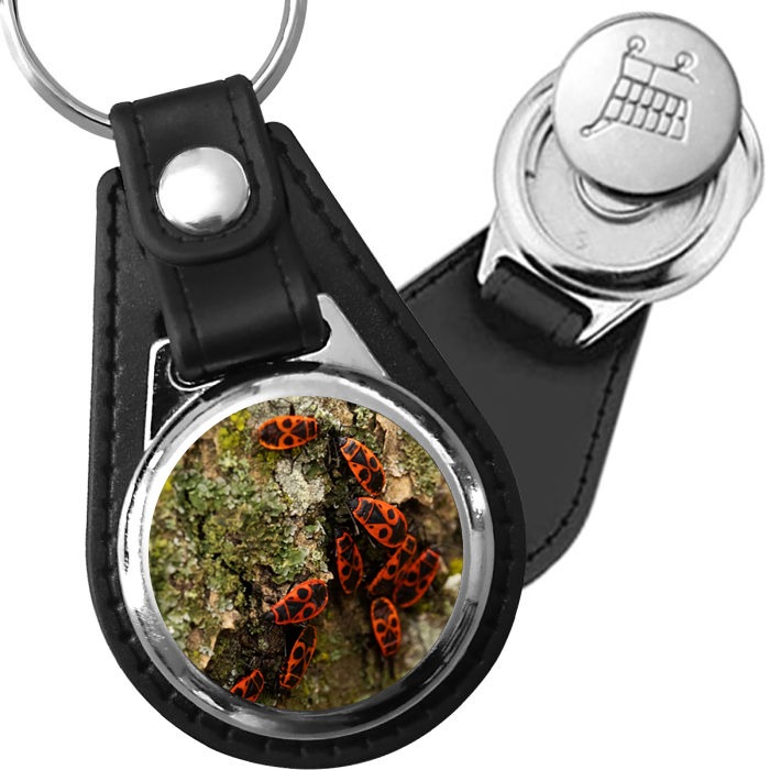 Porte-clé cuir avec médaillon insecte Gendarme