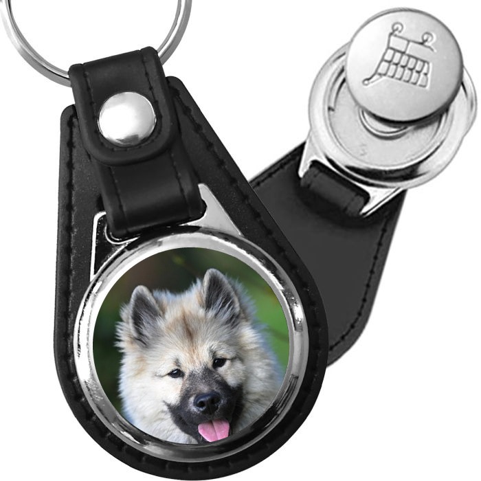 Porte-clé cuir avec médaillon chien Keeshond