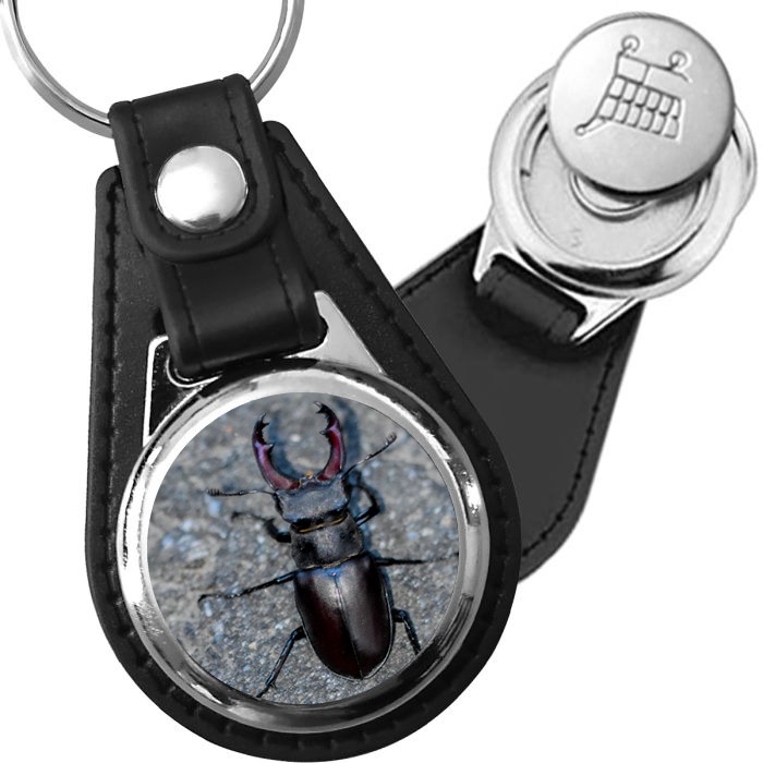 Porte-clé cuir avec médaillon insecte Lucane Cerf-volant