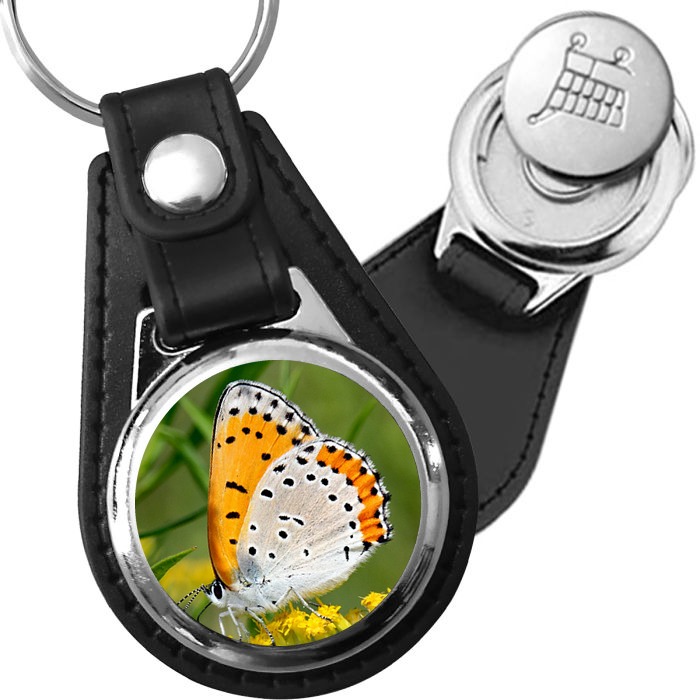 Porte-clé cuir avec médaillon insecte Papillon Lycène