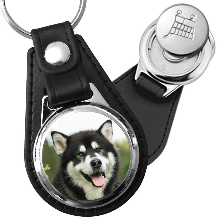 Porte-clé cuir avec médaillon chien Malamute