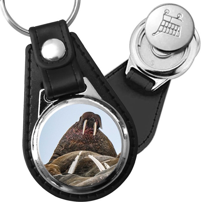 Porte-clé cuir avec médaillon mammifère Morse