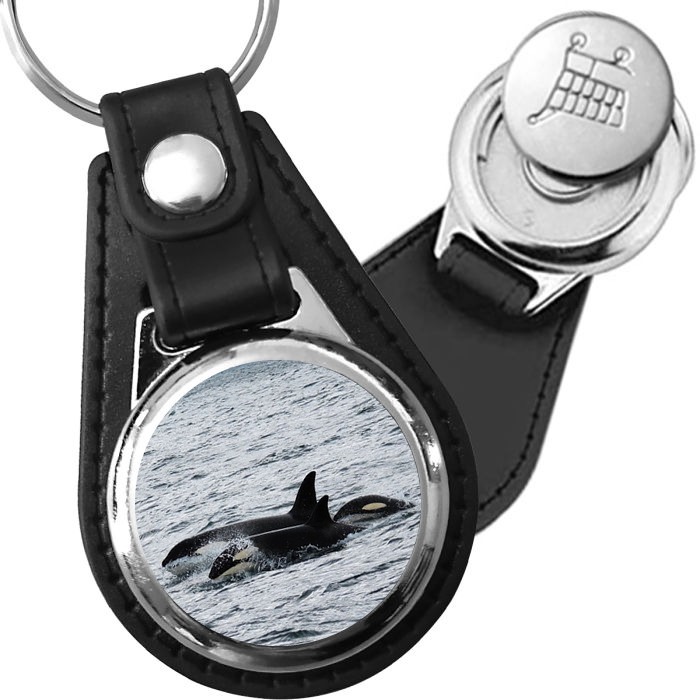 Porte-clé cuir avec médaillon mammifère Orque