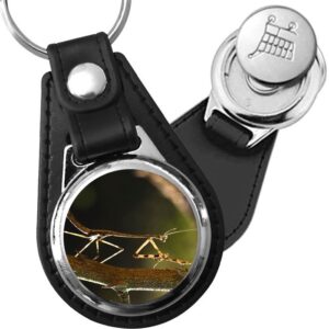Porte-clé cuir avec médaillon insecte Phasme