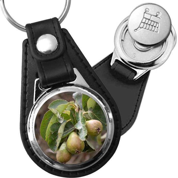 Porte-clés Fruits