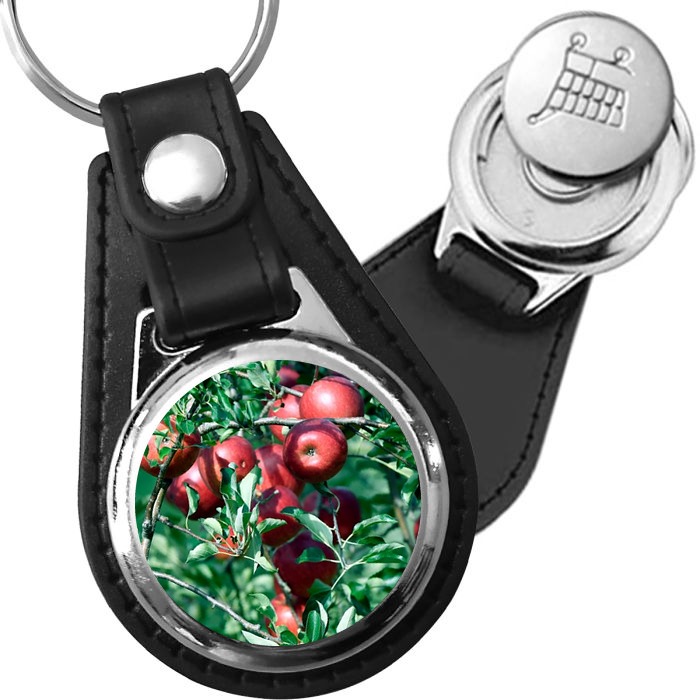 Porte-clé cuir avec médaillon arbre Pommier