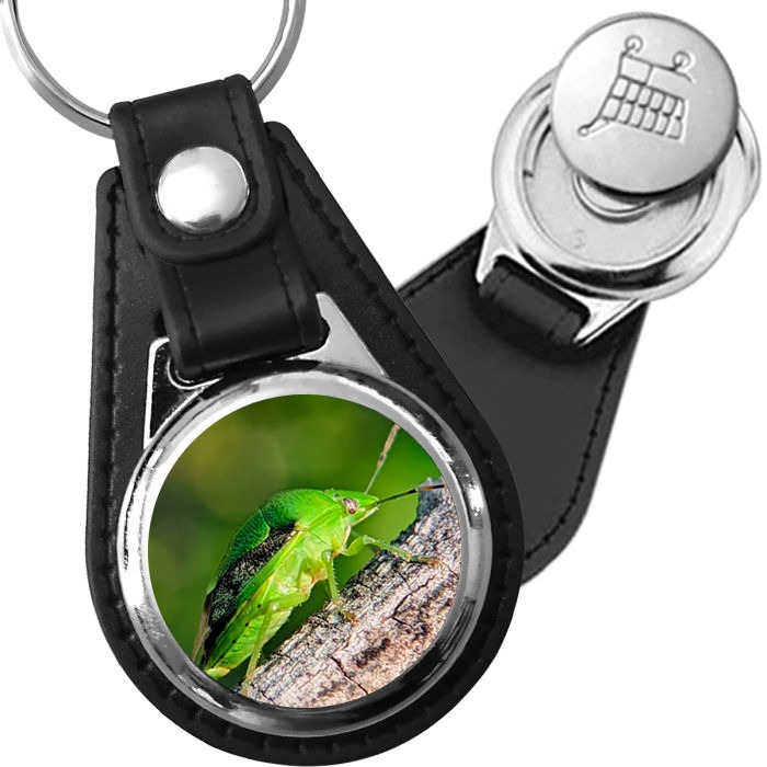 Porte-clé cuir avec médaillon insecte Punaise Verte
