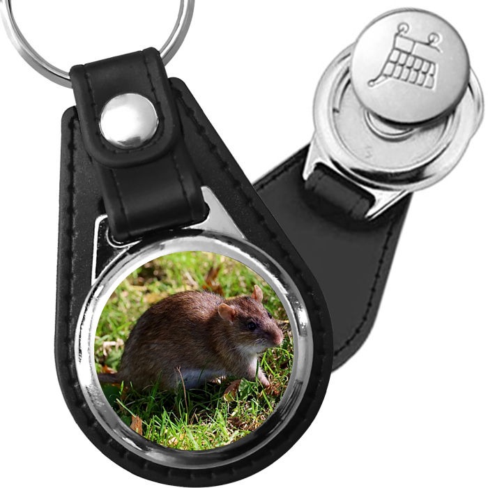 Porte-clé cuir avec médaillon mammifère Rat