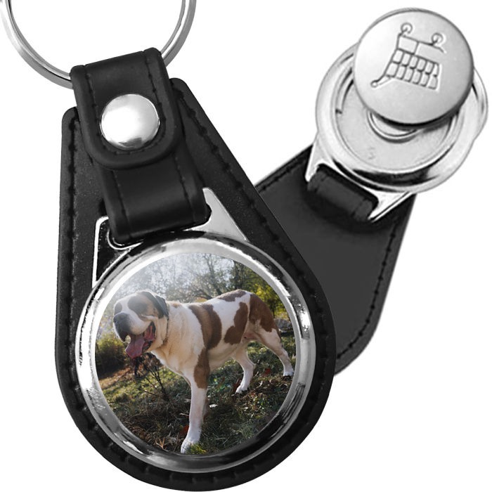 Porte-clé cuir avec médaillon chien Saint-Bernard