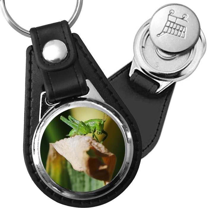 Porte-clé cuir avec médaillon insecte Sauterelle