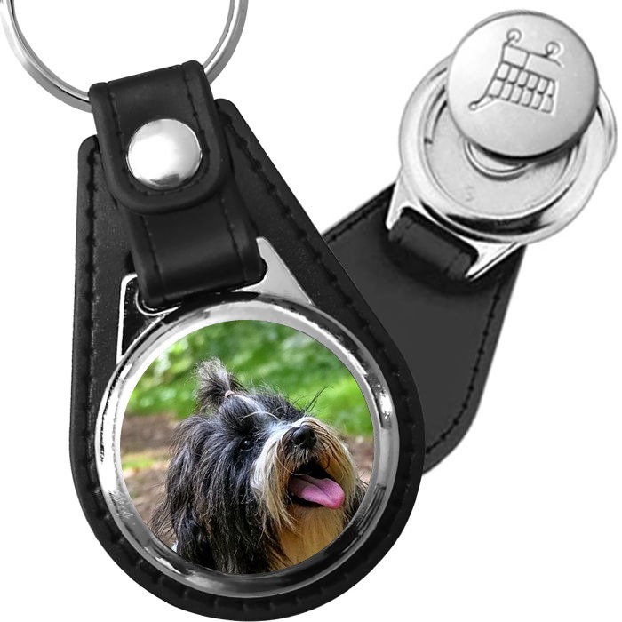 Porte-clé cuir avec médaillon chien Terrier Tibétain